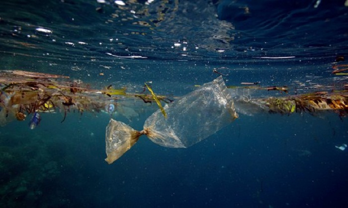 England`s plastic bag usage drops 85% since 5p charge introduced